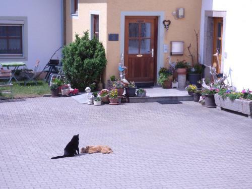 Apartamento Gillingerhof