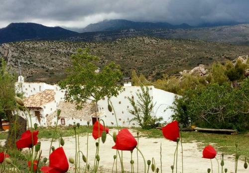 Agroturismo Casa Rural "los Casares"