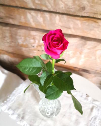 Bed & Breakfast Er�j�rven Eerola Aittahuone (summer Room)