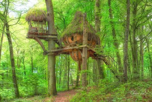 Agroturismo L'arbre � Cabane