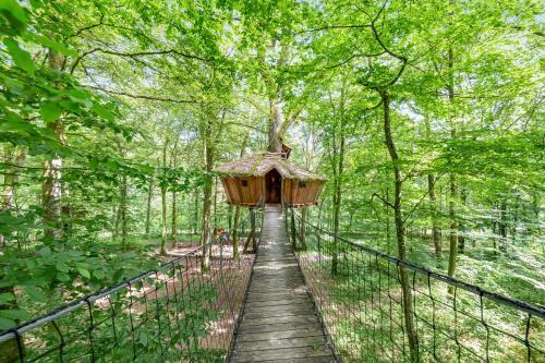 Agroturismo L'arbre � Cabane
