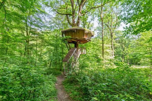 Agroturismo L'arbre � Cabane
