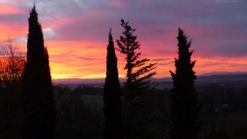 Domaine Anguyales