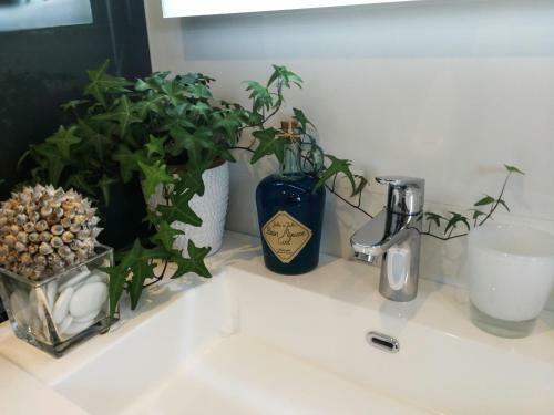 Bed & Breakfast Escapades Lointaines