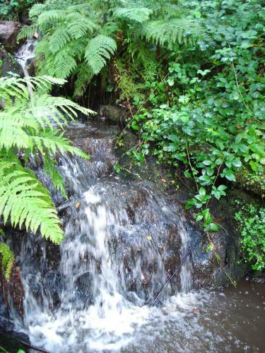 Moulin Des Vernes