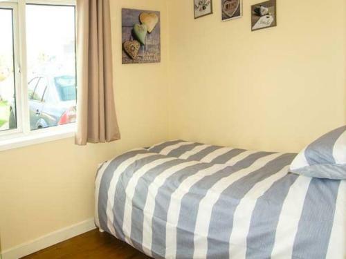 Harbour Lights, Holyhead