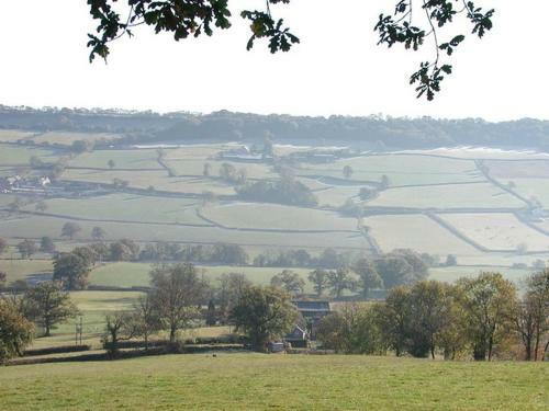 Whitcombe Cottage, Honiton
