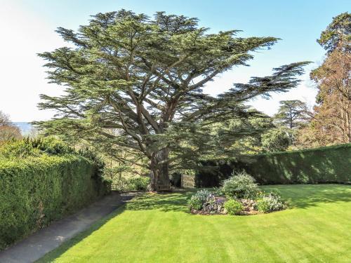 Cedar Gardens