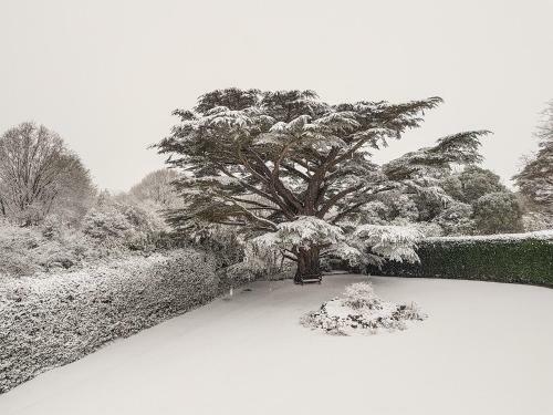 Cedar Gardens
