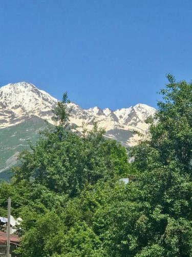 Bed & Breakfast Monte Bianco