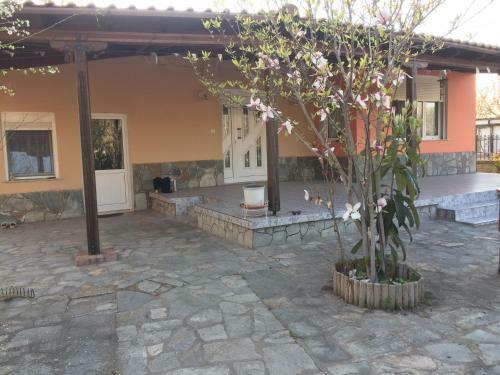 Orange Villa