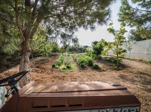 Villa Corina Near The Airport