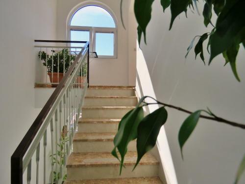 Apartment Nemira