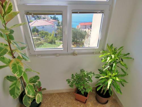 Apartment Nemira