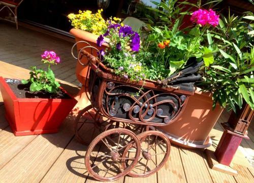 Bed & Breakfast Ambr�zia �tterem �s Panzi�