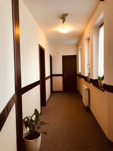 Bed & Breakfast Ambr�zia �tterem �s Panzi�
