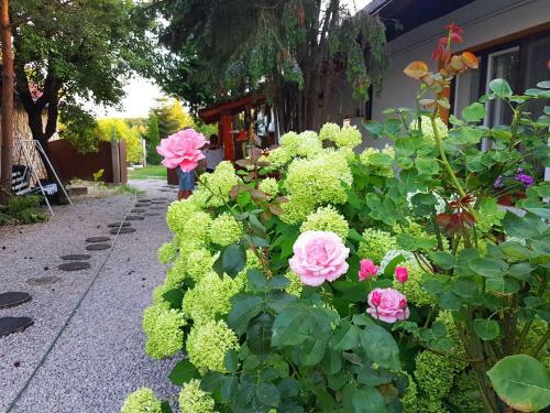 Hostal K�ti Vend�gh�z