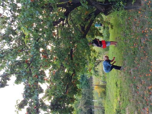 Hostal K�ti Vend�gh�z
