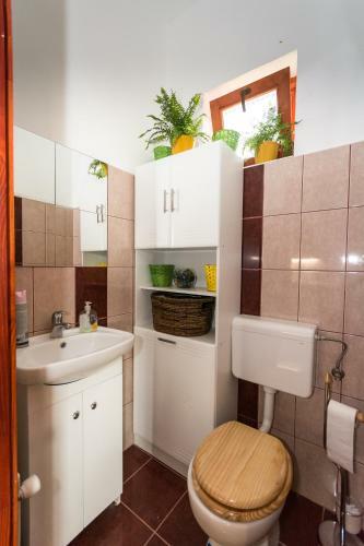 Hostal Vadmacska Vad�sz �s Vend�gh�z