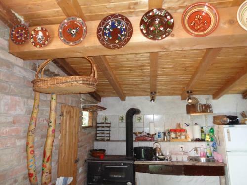 Petra Vend�gh�z