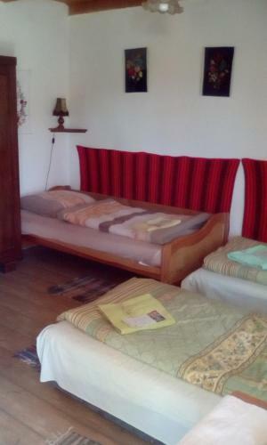 Petra Vend�gh�z