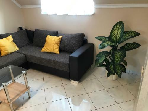 Exclusive Wellness Apartman