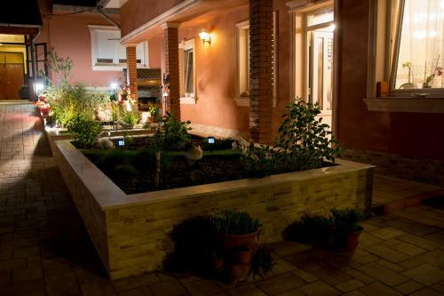 Hostal Csillag Panzi�