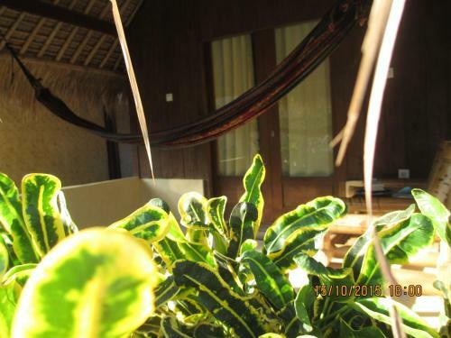 Hostal Selong Belanak Bungalows
