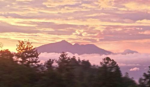 Bromo Tanjung