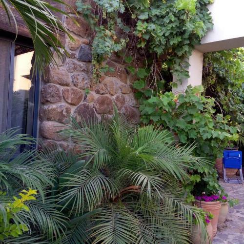 Lodge Nichochot Provence