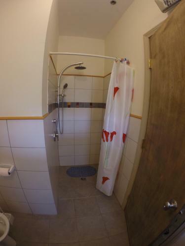 Hostal Freedom Guesthouse