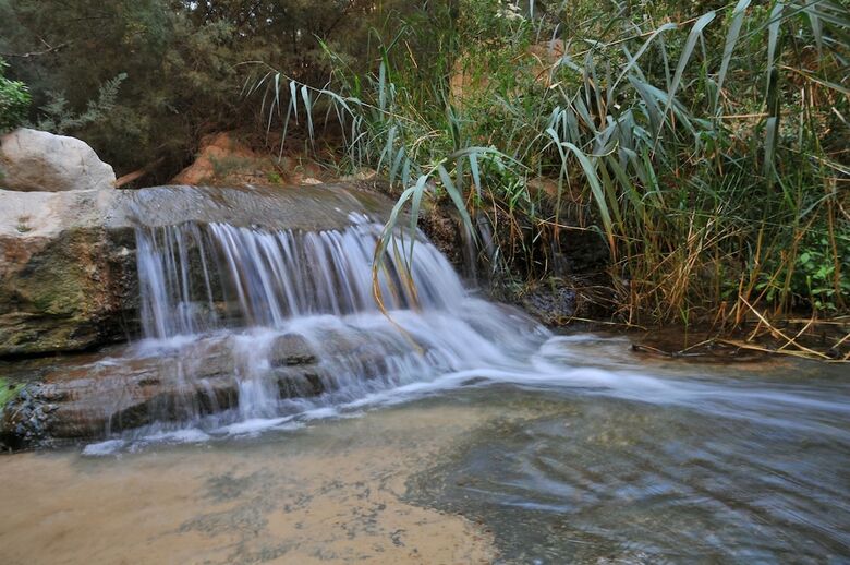 Ein Gedi Kibbutz Hotel