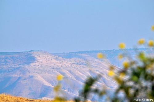 Lodge Paradise Resort