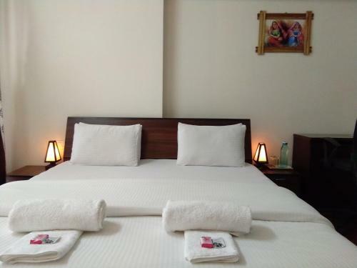 Hostal 3bhk Pure Veg Apartment In Amanora