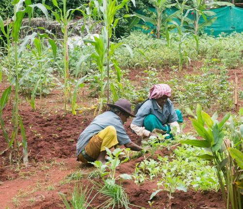 Hotel Our Native Village