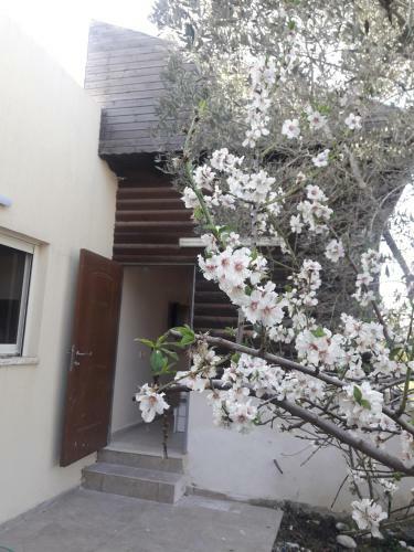 Lodge Sawsan's Suites