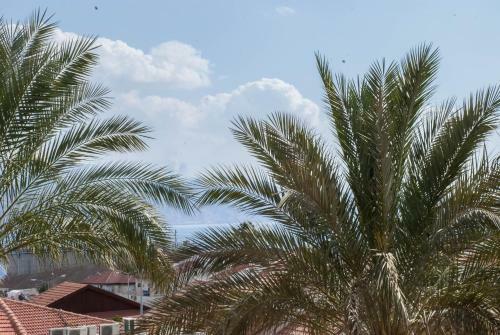 Amdar Residence Apartments