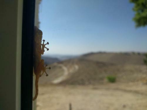 Hostal Dead Sea Desert's Edge