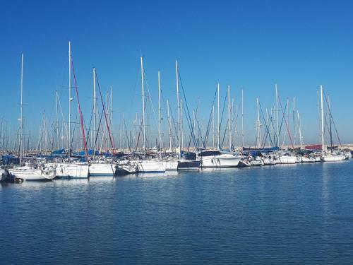 Exodus Marina Apartment