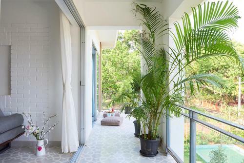 Apartamento Anthill, Siolim. Goa