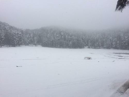 Hotel Island Pahalgam