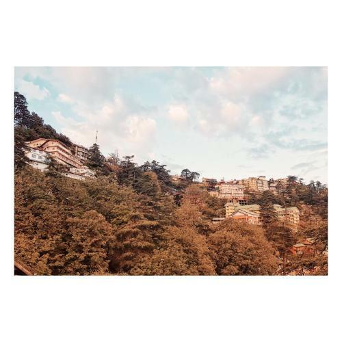 Albergue Thira Shimla