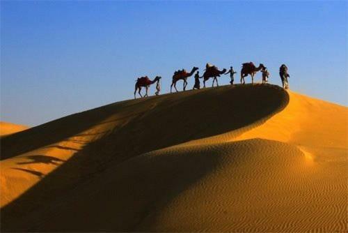 Hotel Golden Dune Camp