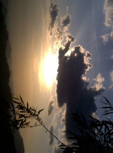 Hotel Centre Point Resorts & Club Palampur