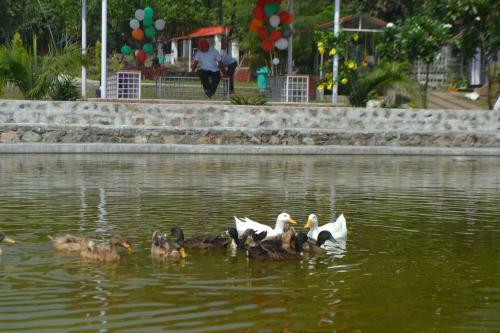 Hotel Balaut Resort