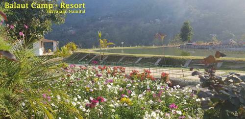 Hotel Balaut Resort