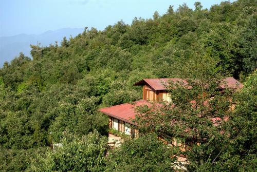 Lodge The Misty Mountains