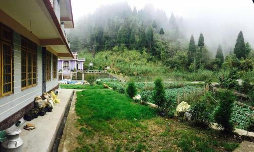 Vamoose Pineview