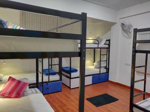 Albergue Backpackers Hive