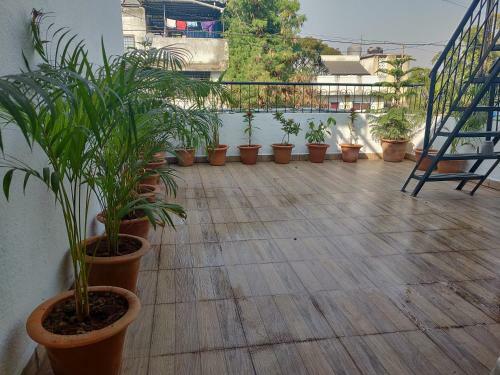 Albergue Backpackers Hive